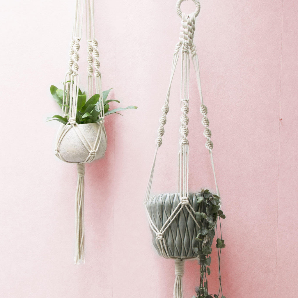 Dyed Macrame Plant Hanger - LILY,Teddy and Wool,