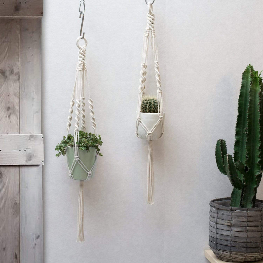 Dyed Macrame Plant Hanger - LILY,Teddy and Wool,